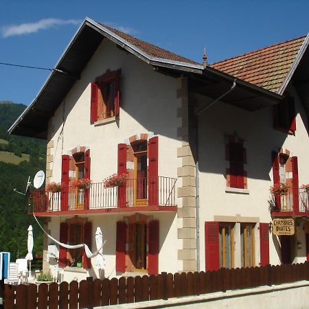 L'Horizon Des Alpes Bed & Breakfast Le Petit-Bornand-les-Glieres Dış mekan fotoğraf
